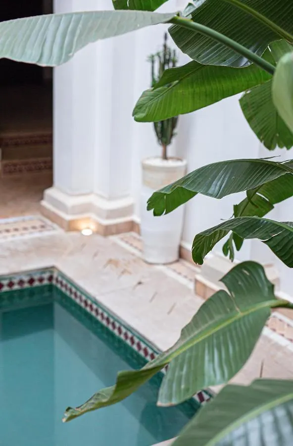 Vila Riad Carla Marrakech Marakéš